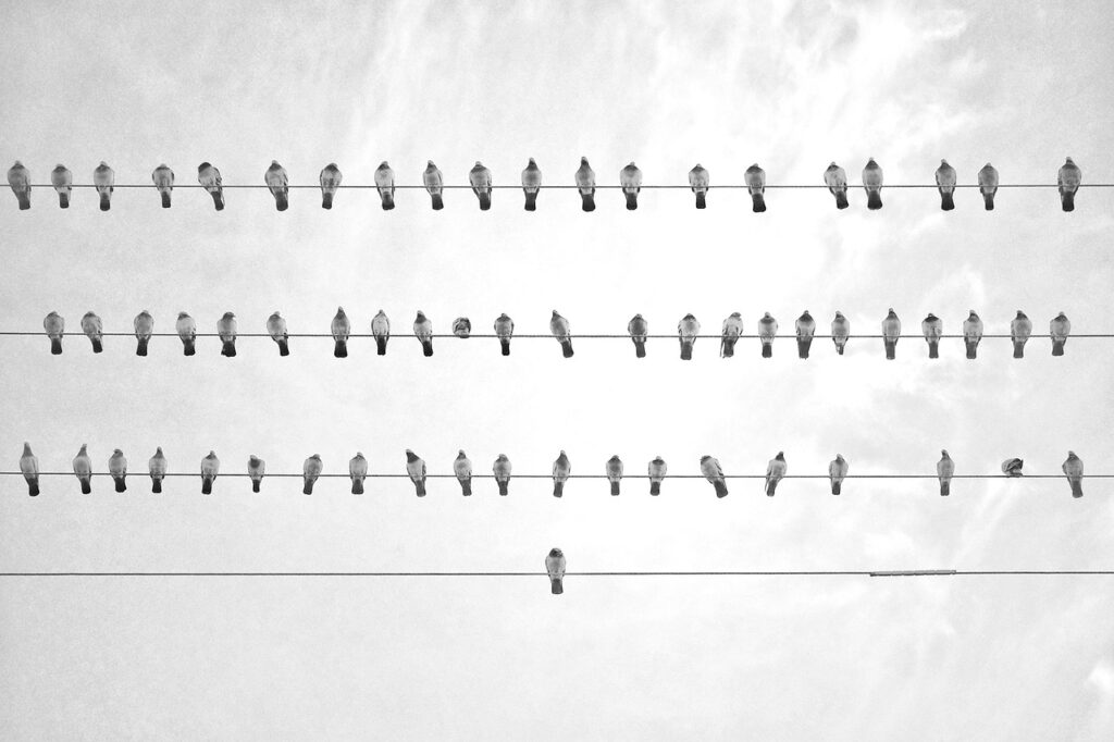 ミドル層の採用担当が印象を良くするためのポイントは？