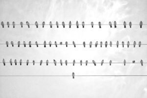 ミドル層の採用担当が印象を良くするためのポイントは？