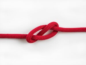 選ばれる企業の見つけ方はどれがいい？